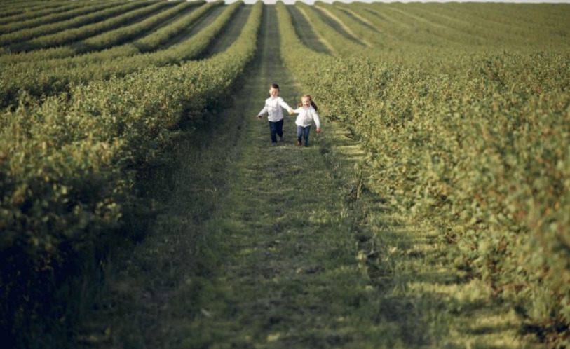 Digestion anaérobie et traitement des déchets : une solution clé pour réduire les gaz à effet de serre